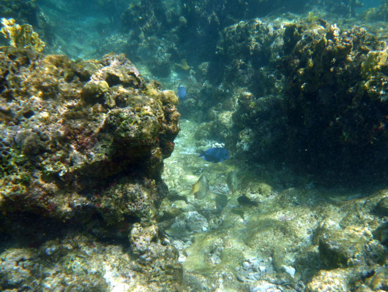 Playa Coral