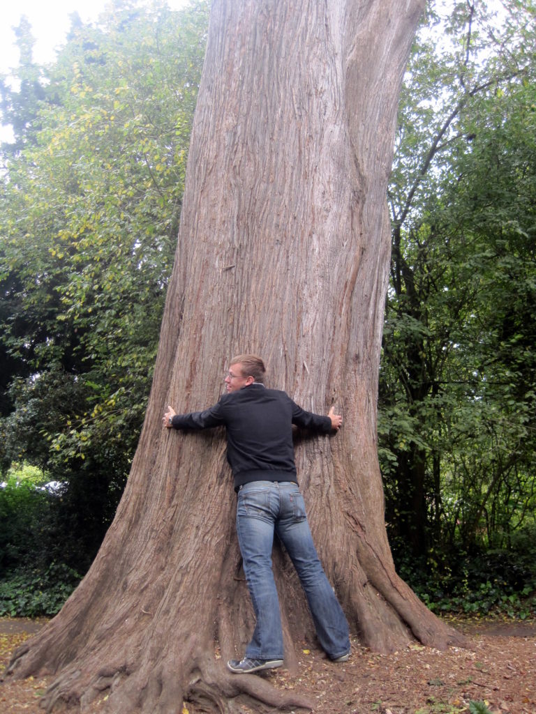 Golden Gate Park