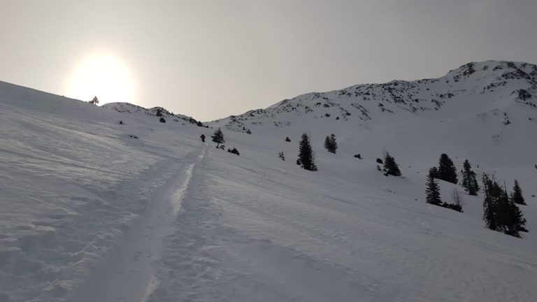 Schneegrubenspitze