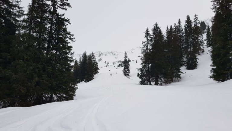 Schneegrubenspitze